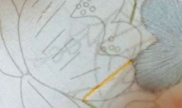 二级黄色视频,内容解析与警示