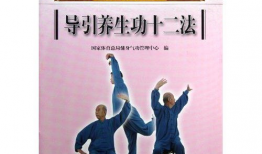 导引养生功十二法教学视频,视频教学精华概述