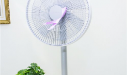 电风扇视频,电风扇工作原理与使用技巧揭秘